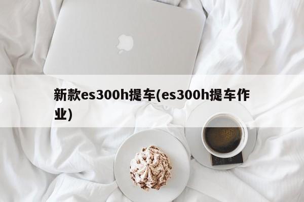 新款es300h提车(es300h提车作业)