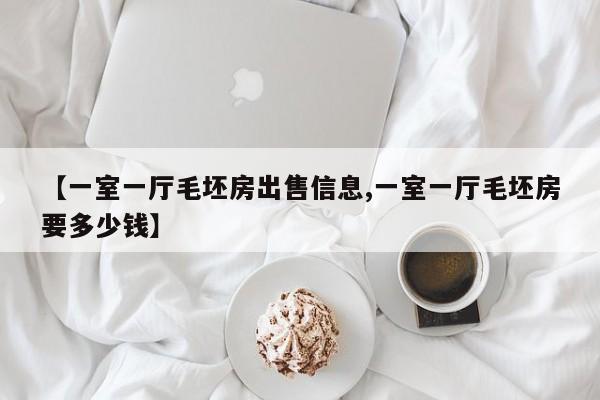 【一室一厅毛坯房出售信息,一室一厅毛坯房要多少钱】