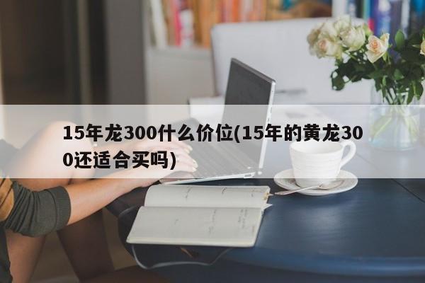 15年龙300什么价位(15年的黄龙300还适合买吗)