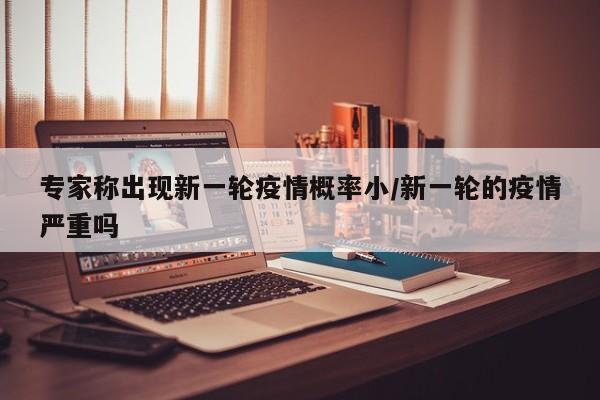 专家称出现新一轮疫情概率小/新一轮的疫情严重吗
