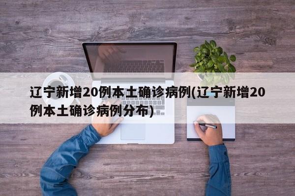 辽宁新增20例本土确诊病例(辽宁新增20例本土确诊病例分布)