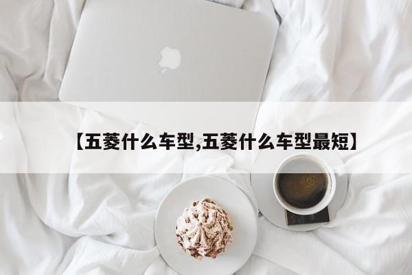 【五菱什么车型,五菱什么车型最短】