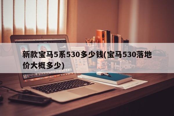 新款宝马5系530多少钱(宝马530落地价大概多少)