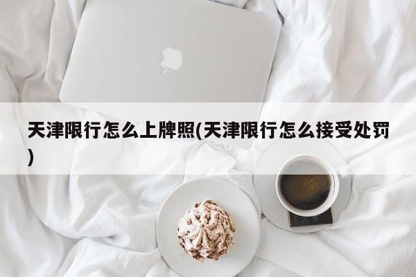 天津限行怎么上牌照(天津限行怎么接受处罚)