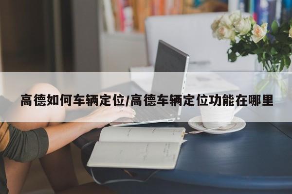 高德如何车辆定位/高德车辆定位功能在哪里