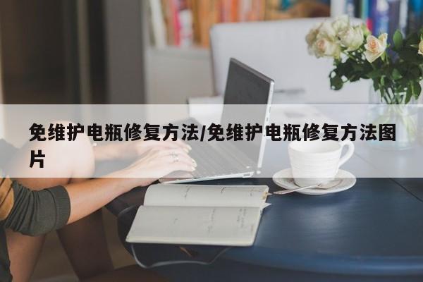 免维护电瓶修复方法/免维护电瓶修复方法图片