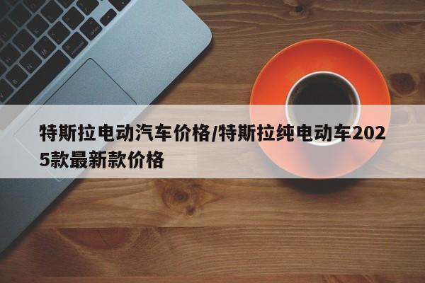 特斯拉电动汽车价格/特斯拉纯电动车2025款最新款价格
