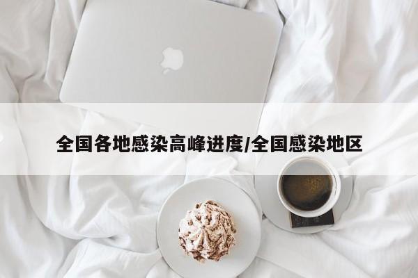 全国各地感染高峰进度/全国感染地区