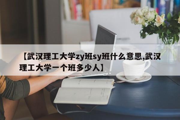 【武汉理工大学zy班sy班什么意思,武汉理工大学一个班多少人】