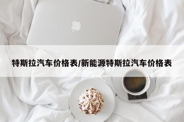 特斯拉汽车价格表/新能源特斯拉汽车价格表