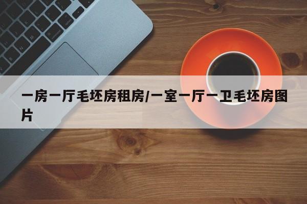 一房一厅毛坯房租房/一室一厅一卫毛坯房图片