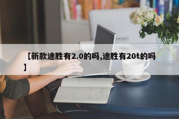 【新款途胜有2.0的吗,途胜有20t的吗】