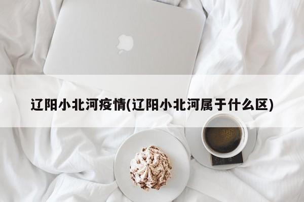 辽阳小北河疫情(辽阳小北河属于什么区)
