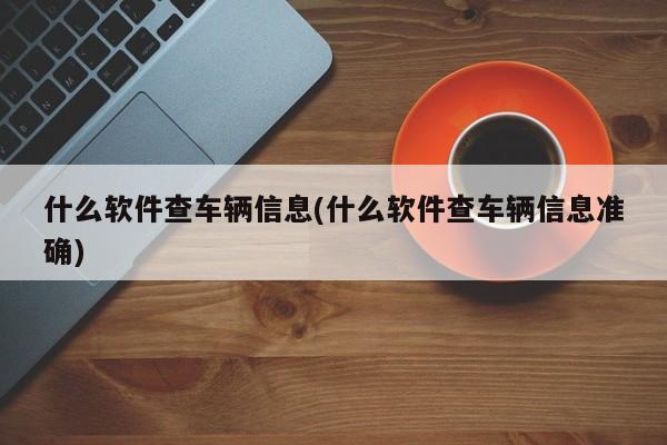 什么软件查车辆信息(什么软件查车辆信息准确)