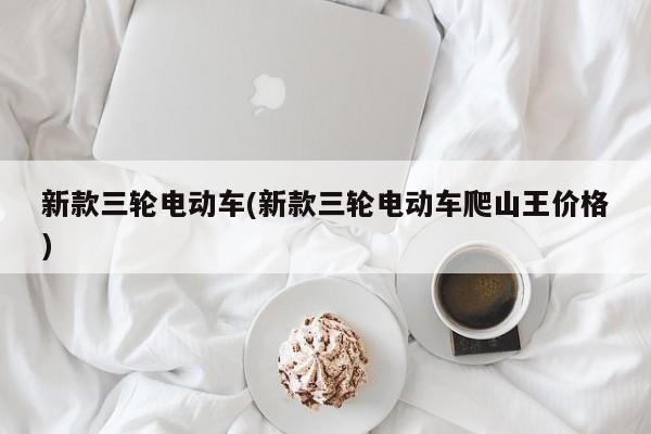 新款三轮电动车(新款三轮电动车爬山王价格)