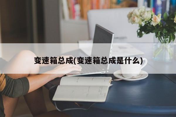 变速箱总成(变速箱总成是什么)