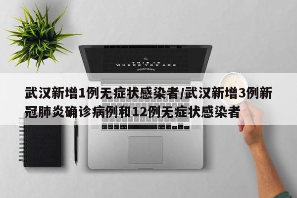 武汉新增1例无症状感染者/武汉新增3例新冠肺炎确诊病例和12例无症状感染者