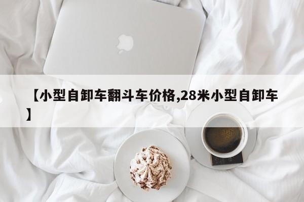 【小型自卸车翻斗车价格,28米小型自卸车】