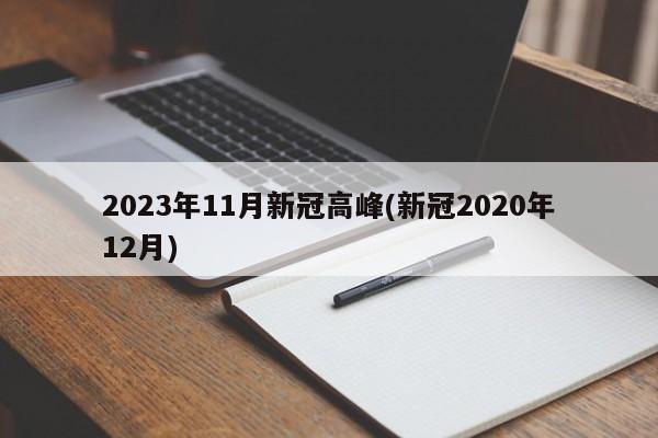 2023年11月新冠高峰(新冠2020年12月)
