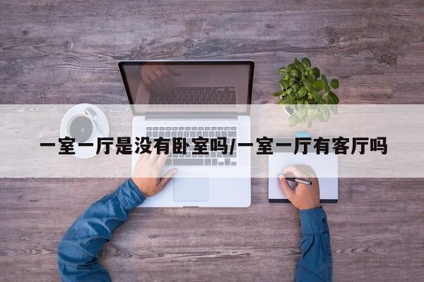 一室一厅是没有卧室吗/一室一厅有客厅吗