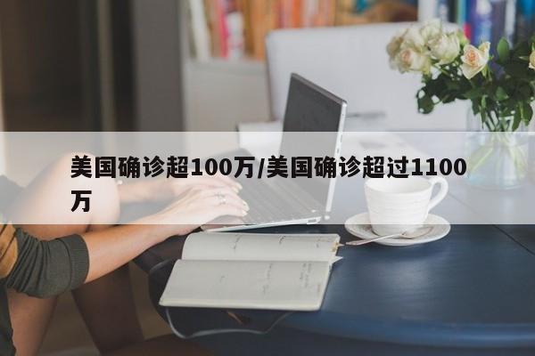 美国确诊超100万/美国确诊超过1100万