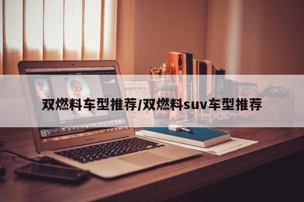 双燃料车型推荐/双燃料suv车型推荐