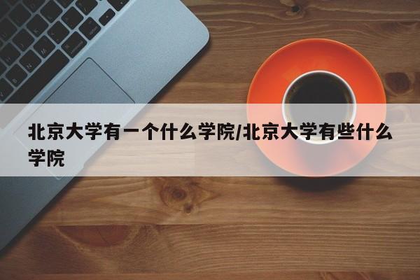 北京大学有一个什么学院/北京大学有些什么学院
